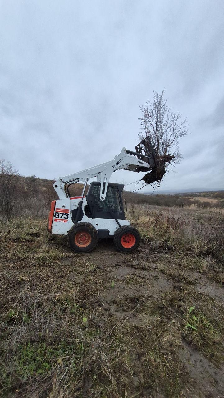 Bobcat! Curățareterenuri, vii, livezi, pirloaga.