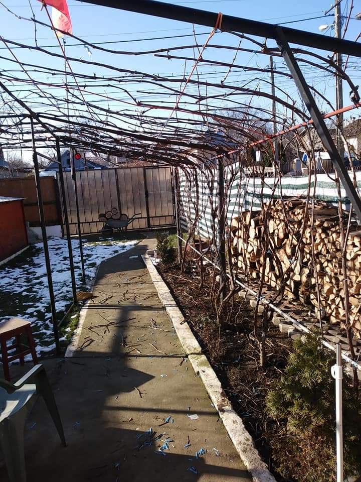 Curăţenie în curtea ta