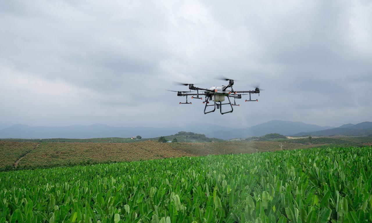 Stropire culturi cu Drone Agricole